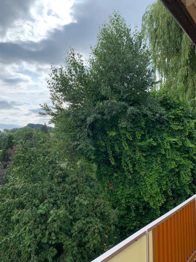 Apartament Blumenblick Rielasingen-Worblingen Buitenkant foto
