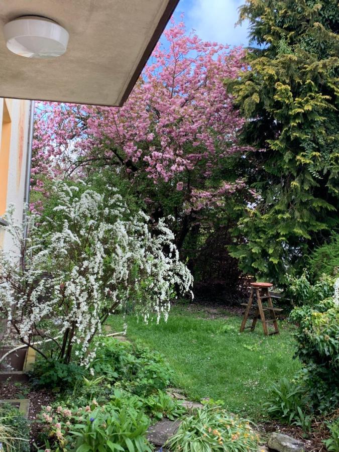 Apartament Blumenblick Rielasingen-Worblingen Buitenkant foto